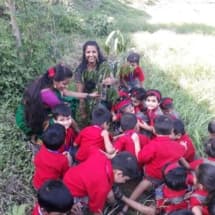 KG Section tree plantation 18-19